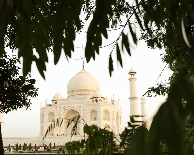 Taj Mahal through trees