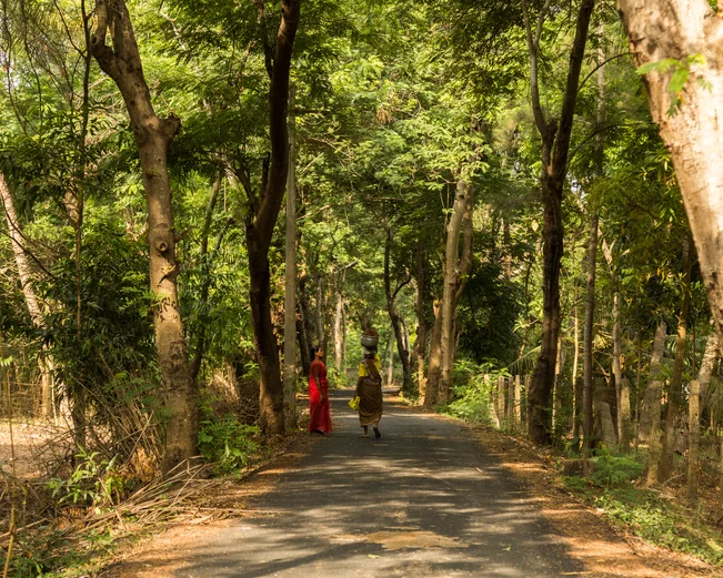 Mantra-Koodam-Village-Life