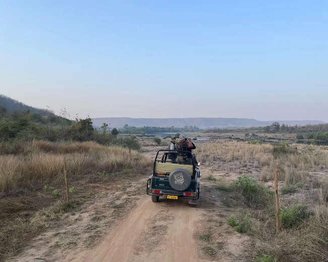 Panna safari