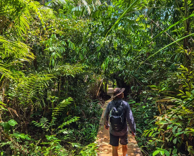 Borneo Bako National Park