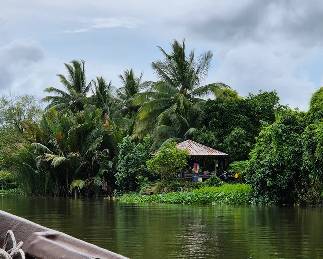 Borneo river cruise near Bako National Park