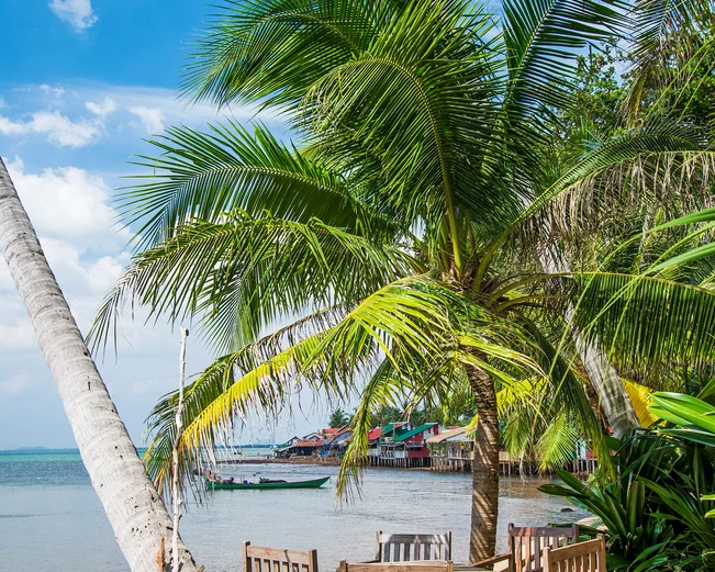 Beachside restaurant seating under a palm tree on a quiet beach in Kep, Cambodia