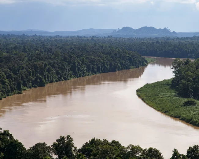 Kinabatangan River
