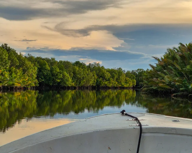 Borneo River