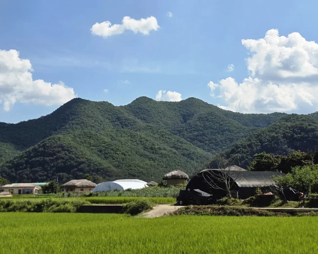 Korea_Andong_GreenField