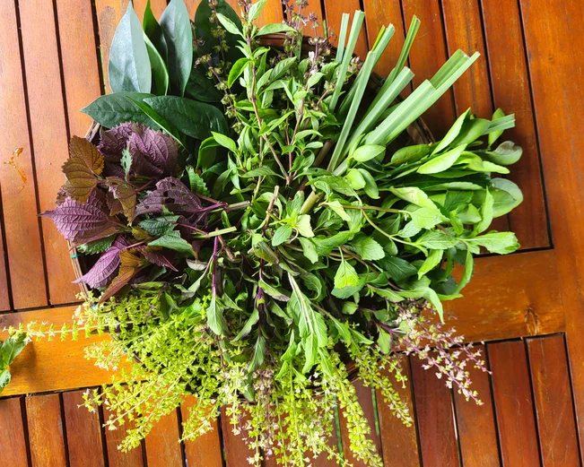Fresh herbs at a cookery class