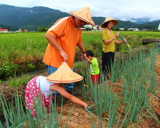 Spring Onion Farm