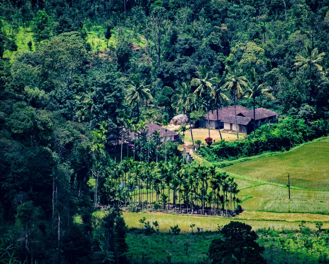 Coorg Scenery, Coorg, India