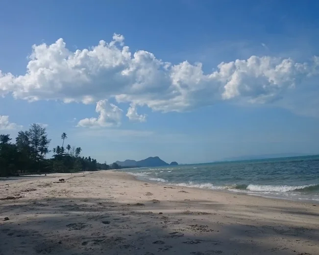 A wide open beachfront with light sand and palm trees lining the shore