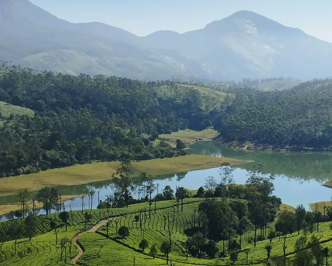 Munnar ariel shot, Munnar, India