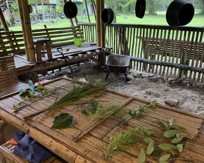A bamboo table displaying different examples of medicinal plants