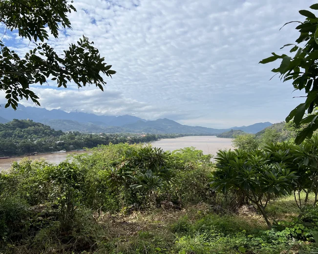 View over a river bend, with forested banks on either side