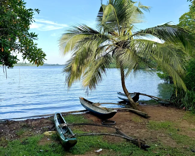 South Coast