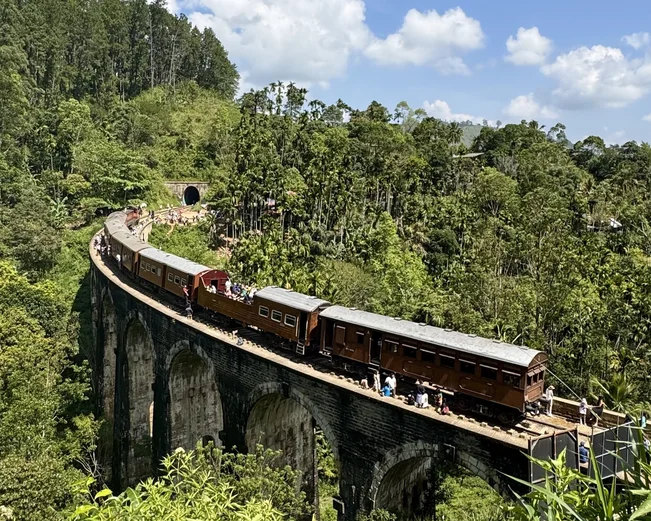 Ella Train
