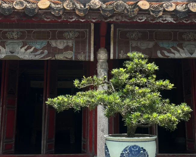 A plant sits in a blue and white ceramic pot outside an old house