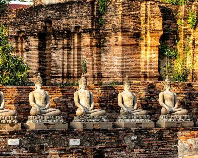 A row of sitting statues caught in the evening sunlight