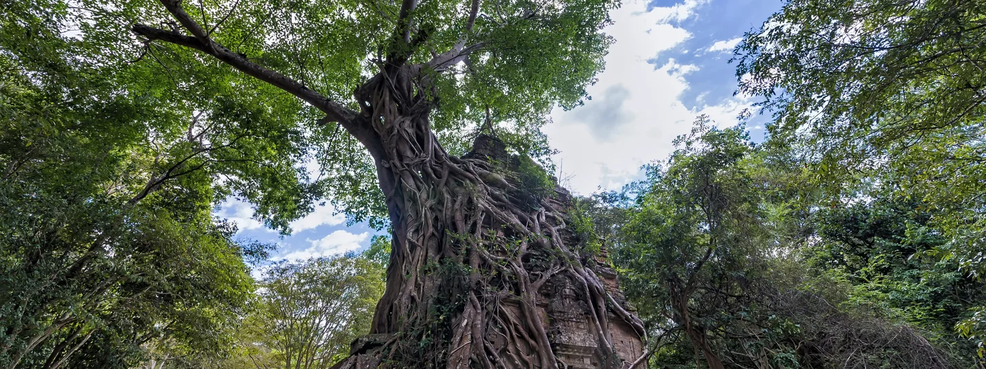 Sambor Prei Kuk in Kampong Thom