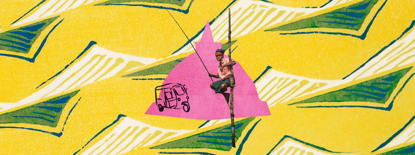 Sri Lanka collage