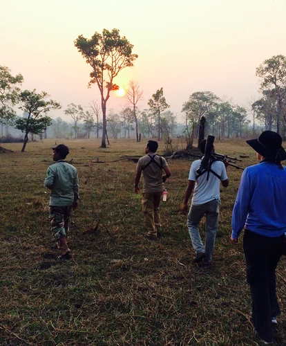 Kulen Promtemp bird watching - Alison Curry (c)