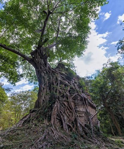 Sambor Prei Kuk in Kampong Thom