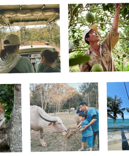 Collage of family photos from Southeast Asia adventure Christmas
