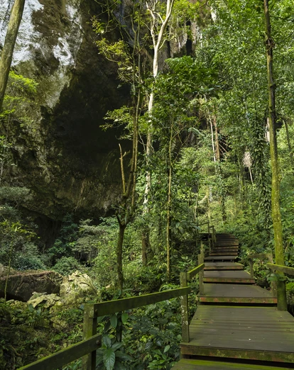 Walkway to Deer Cave, Mulu 