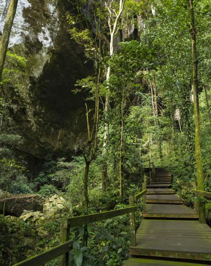 Walkway to Deer Cave, Mulu