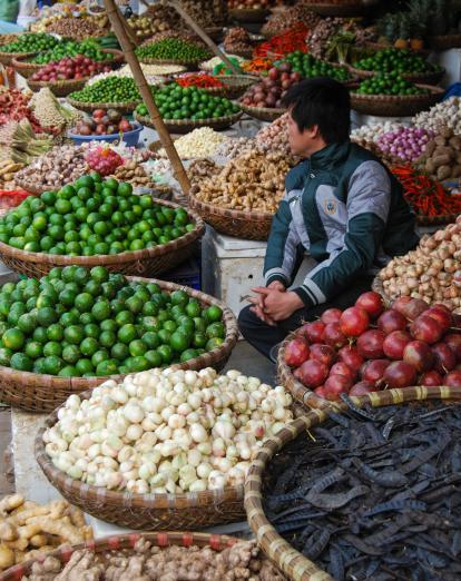 Food market in Hoi An