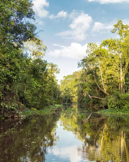 Kinabatangan River