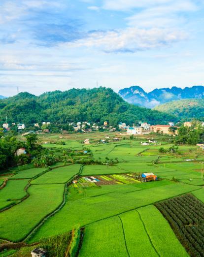 Mai Chau landscape