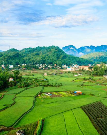 Mai Chau landscape