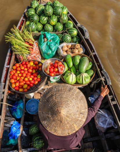 Lady transporting fruit on a boat on the Mekong Delta