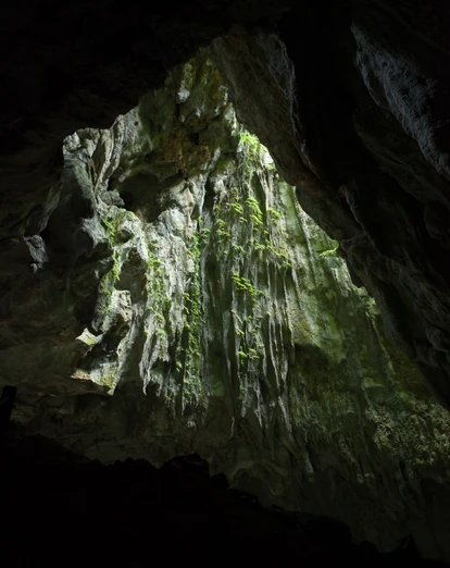 Mulu caves