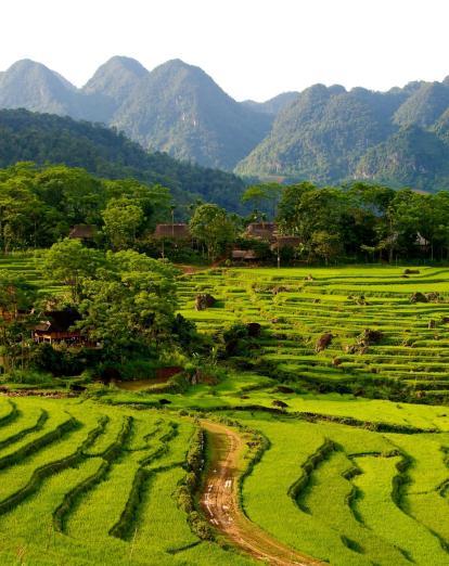 Pu Luong landscape