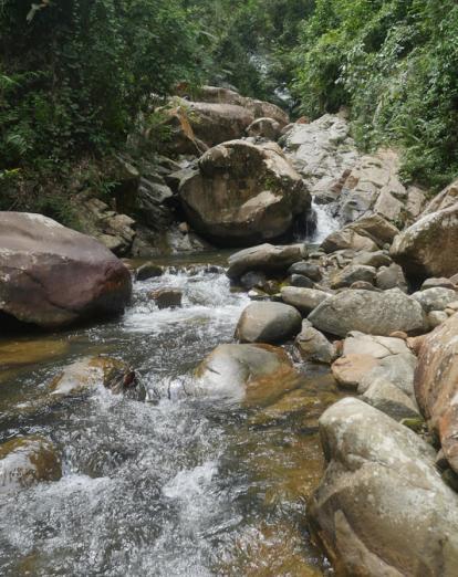 Stream in Sapulot