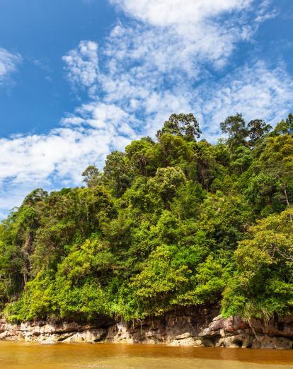 Bako National Park