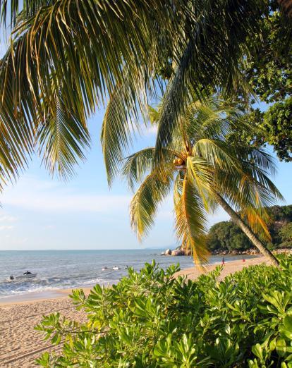 Batu Ferringhi beach