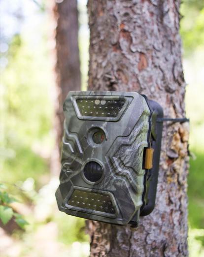 Keo Seima Camera Trap