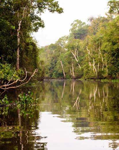 Kinabatangan River 