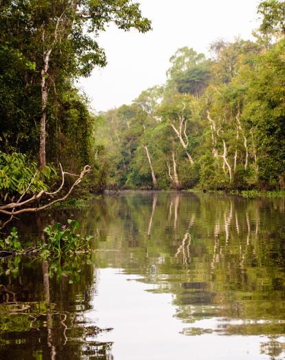 Kinabatangan River