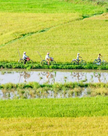 Cycling in Ky Son countryside