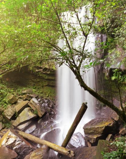 Waterfall in Maliau Basin