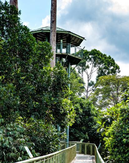 Sepilok Rainforest Discovery Centre