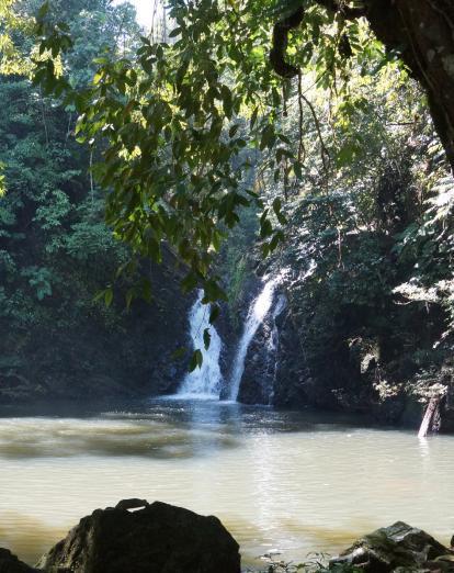 Waterfall in Tabin