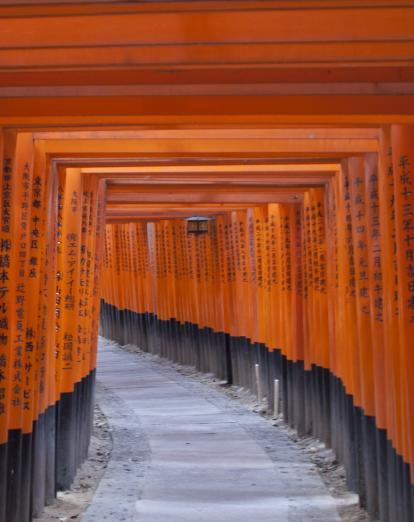Orange torii gates of Fushimi Inari Taisha shrine, Kyoto 