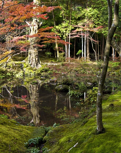 Saihoji moss garden in Kyoto 