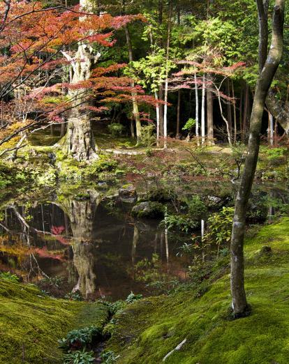 Saihoji moss garden in Kyoto