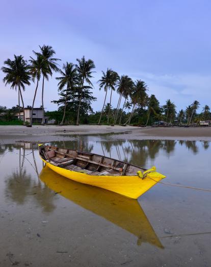 Yellow boat in front of palm trees at Bintan Island