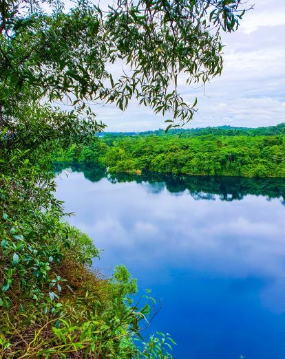 Lake in Pulau Ubin