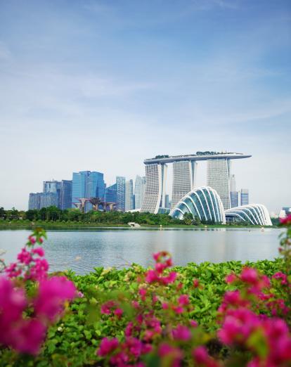 View of Marina Bay Sands Hotel across the bay with pink flowers in foreground